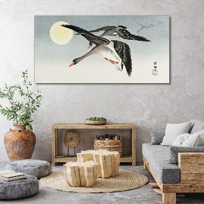 Obraz Canvas Zvieratá vtáky nebeské slnko