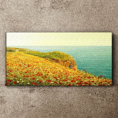 Obraz na plátne Kvety pobrežie útesu mora