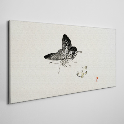 Obraz Canvas Motýle v jemnej harmónii