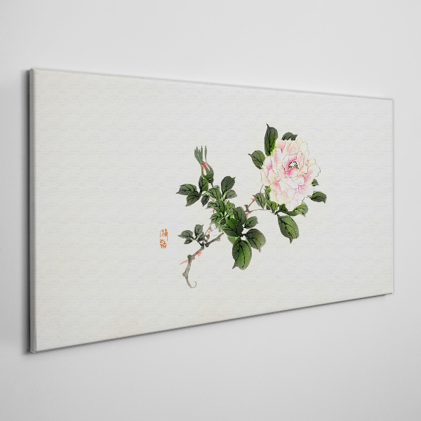 Obraz Canvas Kvet pivonky na svetlom pozadí