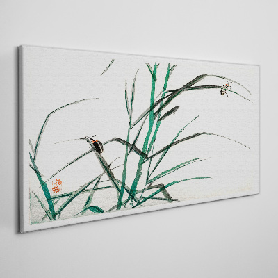 Obraz Canvas Ázijské hmyz vetvy