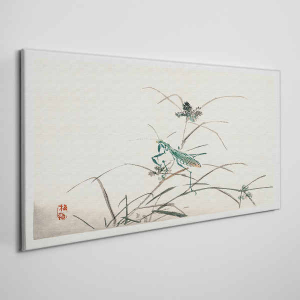 Obraz na plátne Ázijské hmyz vetvy