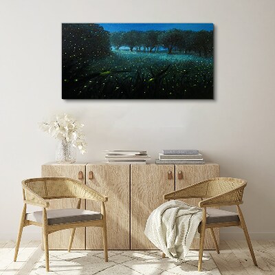 Obraz na plátne Lesné nočné fireflies