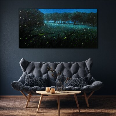 Obraz na plátne Lesné nočné fireflies