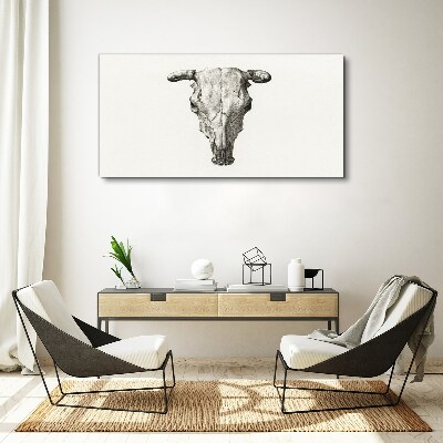 Obraz na plátne Kreslenie zvieracie kravy lebka