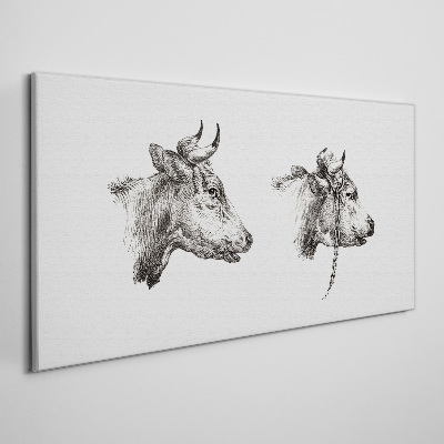 Obraz na plátne Kresba kravy zvierat
