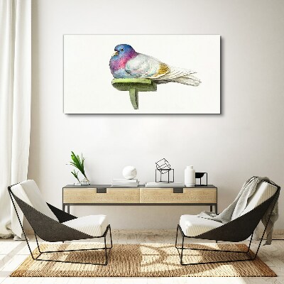 Obraz na plátne Zvieracie vták holub