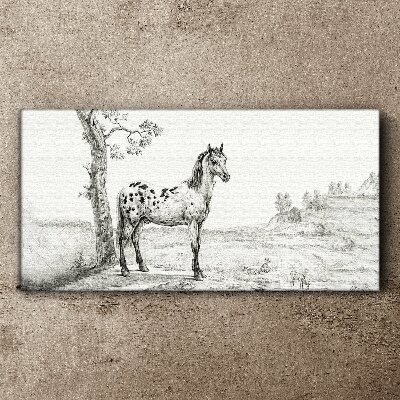 Obraz na plátne Kresba koní zvieratá