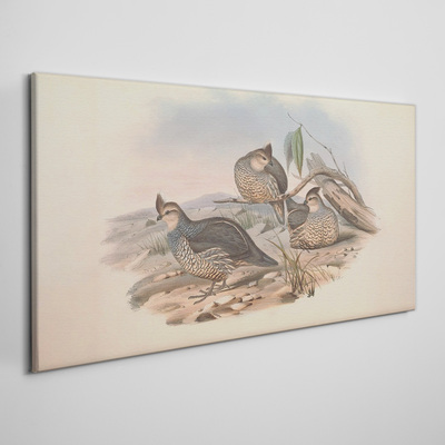 Obraz Canvas Pokojný život vtákov na pláži
