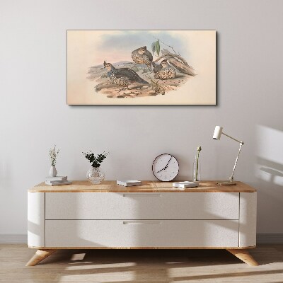 Obraz Canvas Pokojný život vtákov na pláži