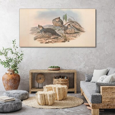 Obraz Canvas Pokojný život vtákov na pláži