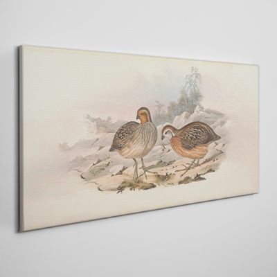 Obraz Canvas Pár vtákov na jemnom pozadí
