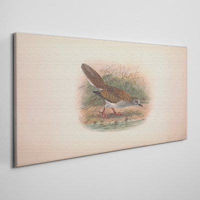 Obraz Canvas Vták nad vodou
