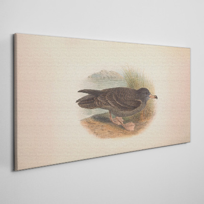 Obraz Canvas Vták na brehu vody