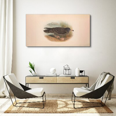 Obraz Canvas Vták na brehu vody