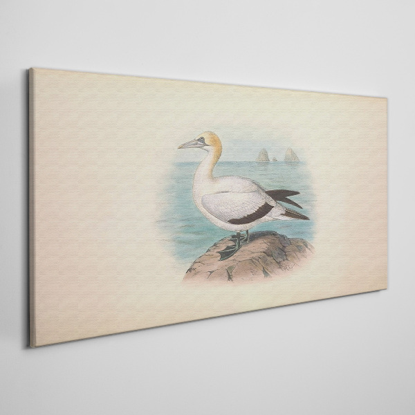 Obraz Canvas Morský vták vo vode