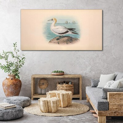 Obraz Canvas Morský vták vo vode