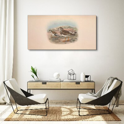 Obraz Canvas Vtáky v púštnej krajine
