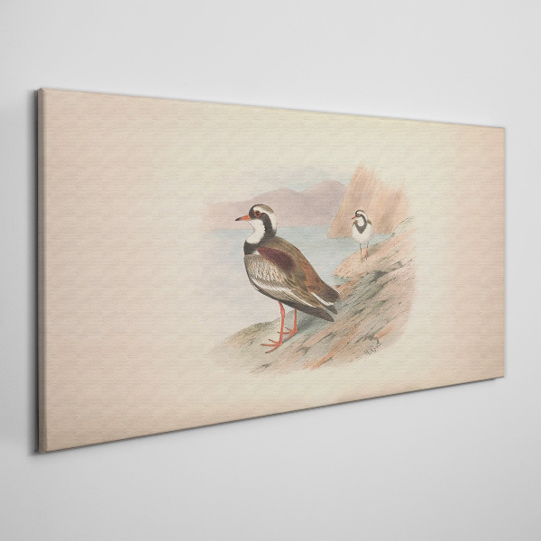Obraz Canvas Vtáky nad vodou