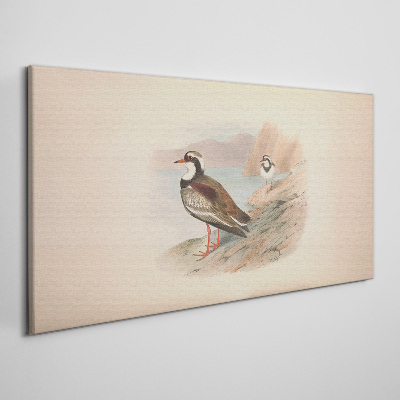 Obraz Canvas Vtáky nad vodou