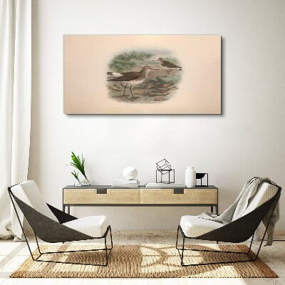 Obraz Canvas Vtáky nad vodou