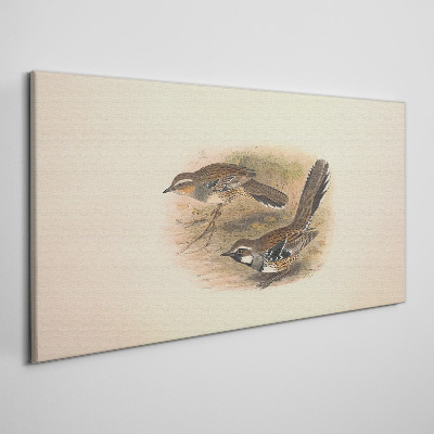 Obraz Canvas Vtáky v jemnom prostredí