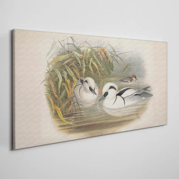 Obraz Canvas Idylický duet medzi trávami