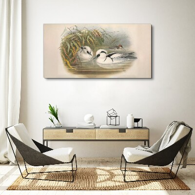 Obraz Canvas Idylický duet medzi trávami