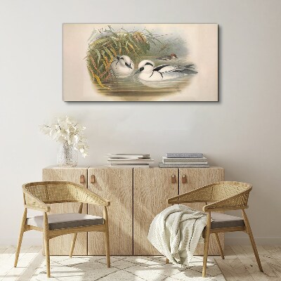 Obraz Canvas Idylický duet medzi trávami