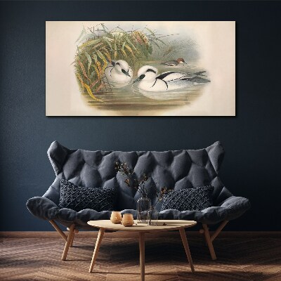 Obraz Canvas Idylický duet medzi trávami
