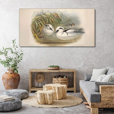 Obraz Canvas Idylický duet medzi trávami
