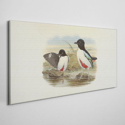 Obraz Canvas Vtáky nad vodou