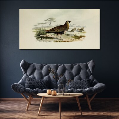 Obraz Canvas Vtáky divoké zvieratá