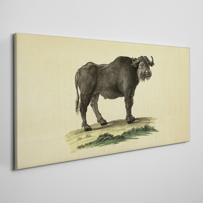 Obraz Canvas Byvol na prírodnom pozadí