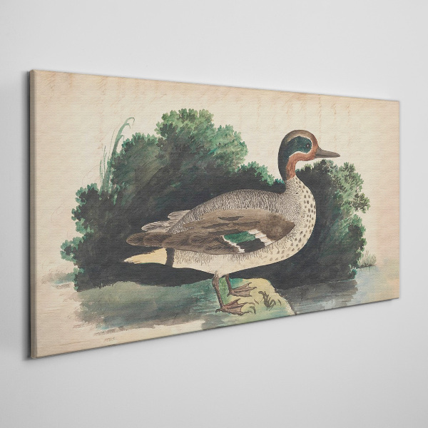 Obraz Canvas Kačica obklopená zeleňou