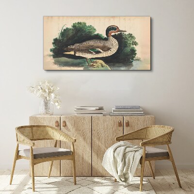 Obraz Canvas Kačica obklopená zeleňou