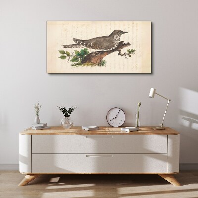 Obraz Canvas Kukučka na konári