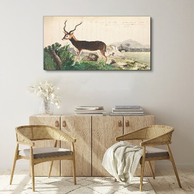 Obraz Canvas Gazelle zvieratá kreslenie