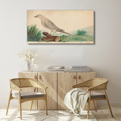 Obraz Canvas zvieratá vtákov