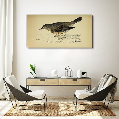 Obraz Canvas Vták na béžovom pozadí