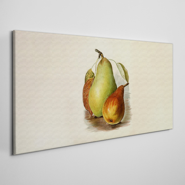Obraz na plátne Ovocie hruškové listy