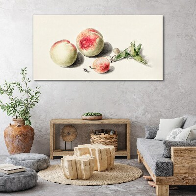 Obraz na plátne broskyňový ovocie
