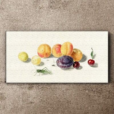 Obraz na plátne Ovocné čerešne broskyne