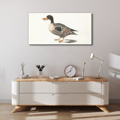 Obraz na plátne Kreslenie vták kačica