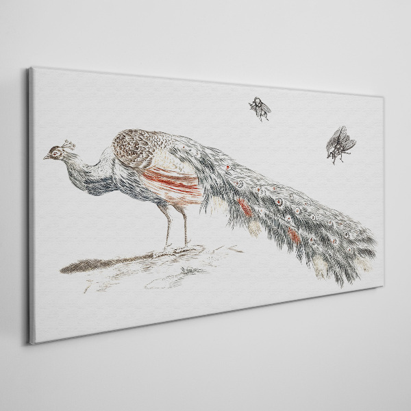 Obraz na plátne Zvieracie vták páv muchy