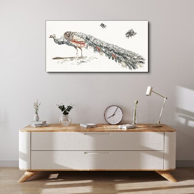 Obraz na plátne Zvieracie vták páv muchy