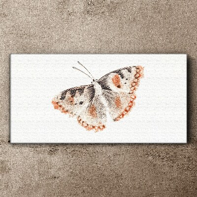 Obraz na plátne Chyba hmyz motýľa