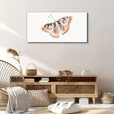 Obraz na plátne Chyba hmyz motýľa
