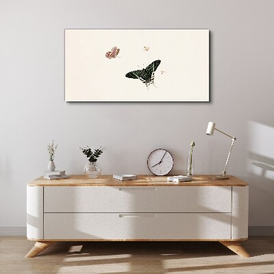 Obraz na plátne Moderné bug hmyz motýľ