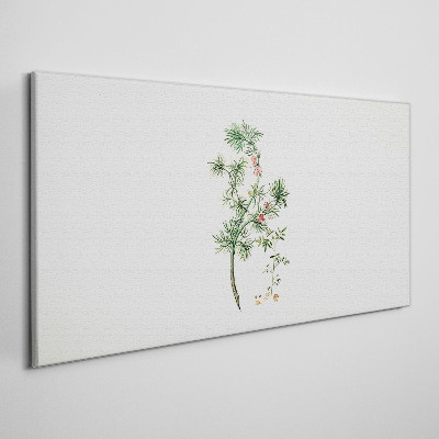 Obraz na plátne Moderné rastlinná vetva
